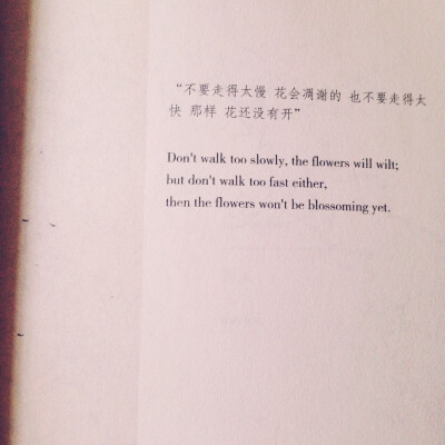 花还没开