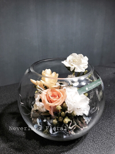 Neverland鲜花玻璃鱼缸