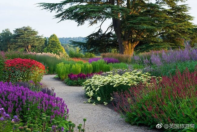 #邂逅英伦发现惊喜# 从现在起, 无论您前往英格兰的布伦海姆宫(Blenheim Palace)还是苏格兰的格拉斯哥植物园(Glasgow Botanical Gardens)或是威尔士的博德南特花园(Bodnant Garden)，都满是水仙、郁金香、蓝铃花...有点想去英国了?