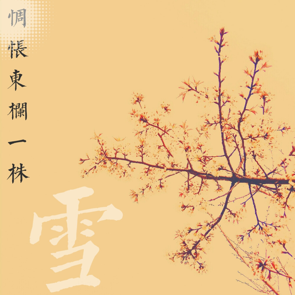 心悦君兮 干花