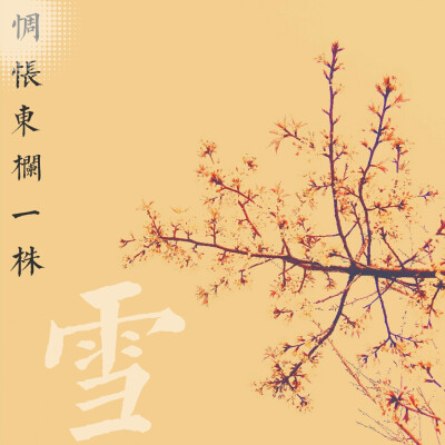 心悦君兮 干花