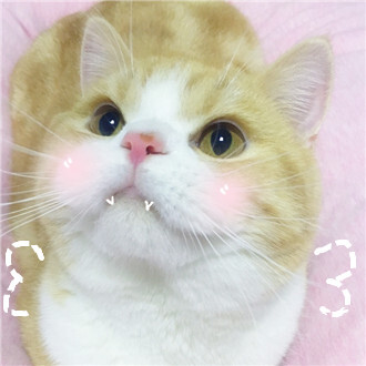虫娘啊∑ 图源tb/侵删致歉