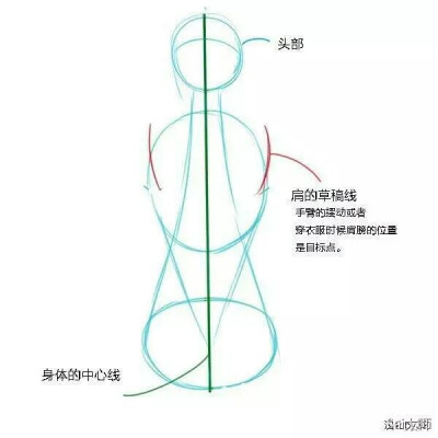 人体背部画法