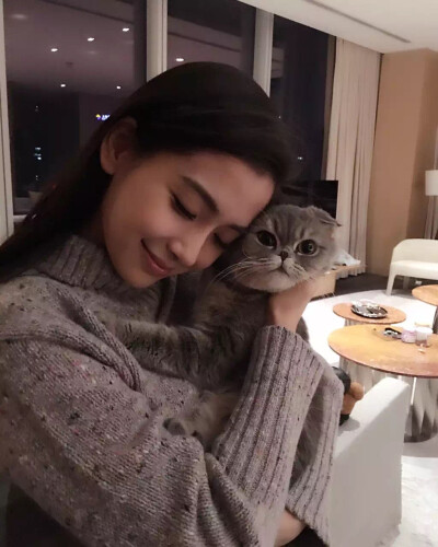 Angelababy杨颖和她家的猫