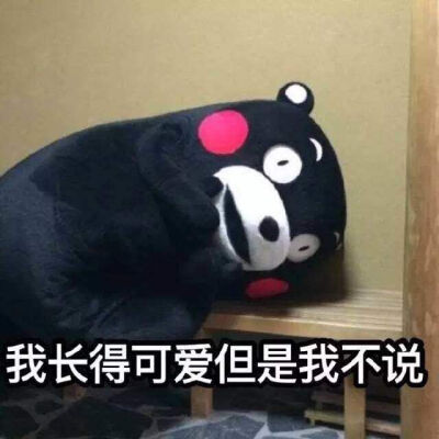 kumamon 熊本熊 我长得可爱但是我不说