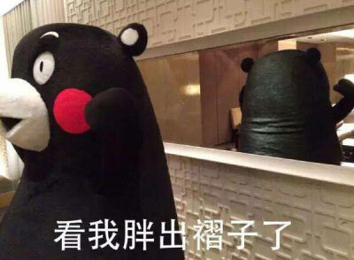 kumamon 熊本熊 看我胖出褶子了！！