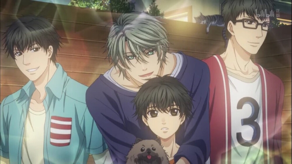 Super lovers 