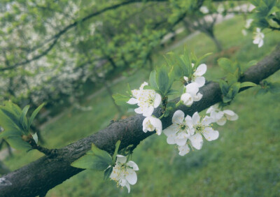 拍的不错,滤镜也还可以