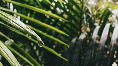 星期天下雨的学校