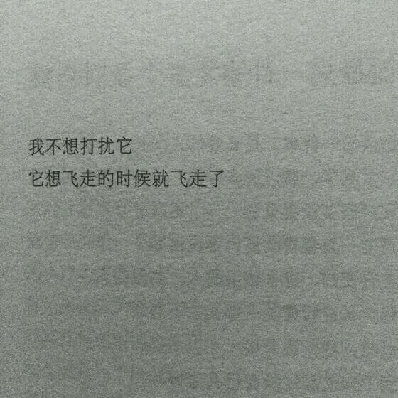 我不想打扰它 它想飞走的时候就飞走了