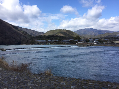 京都的岚山市，蓝天白云般的自在，空气非常好