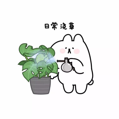 汪啊虎虎