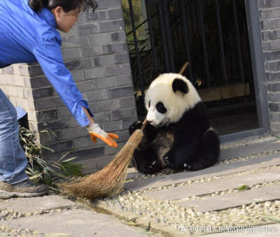 奶妈我帮你扫地