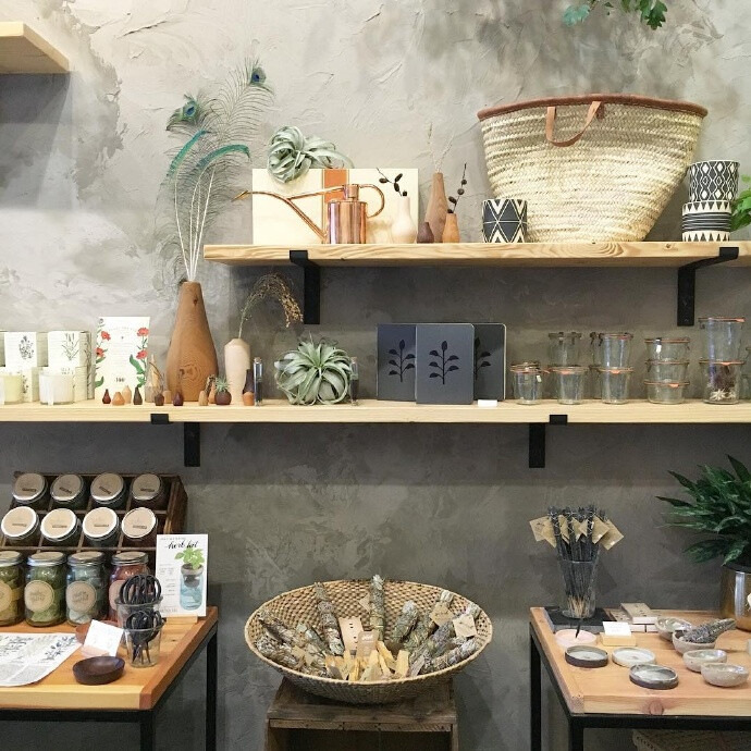 「 Forage + Sundry」是一家位于纽约州特洛伊的植物店，除了销售植物，还有一些手工制品。 ​​​​