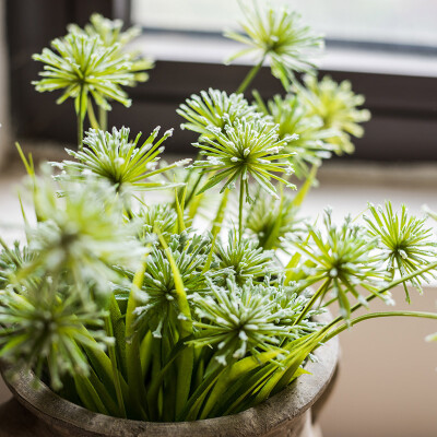 掬涵冬绒草仿真植物 仿真花 装饰花艺插花 森系造景摆放绿植