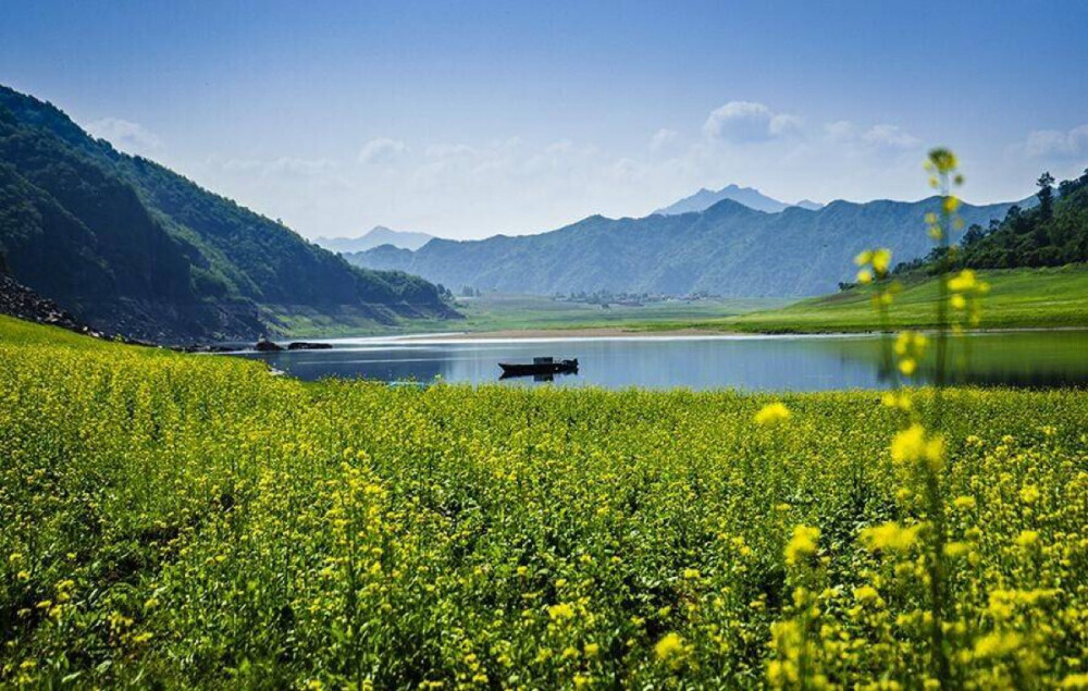 集安市万亩油菜花主景区通天景区,位于凉水朝鲜族乡通天村,是东北目前