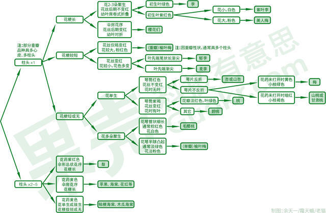 如何区分桃李杏樱梨海棠苹果