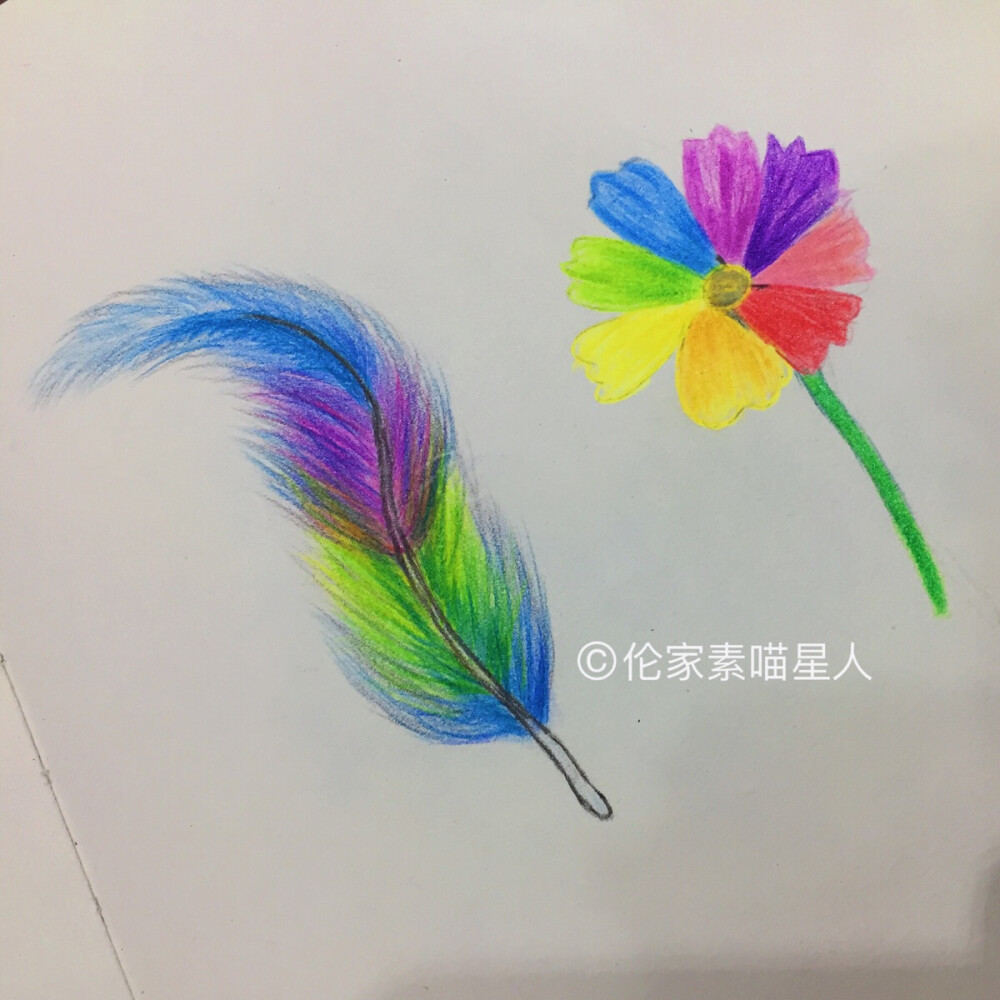 彩铅手绘羽毛七色花