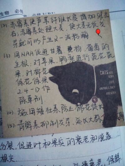 生物笔记（植物生长调节剂的应用）