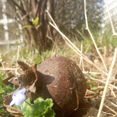 拟山荣枯有尽，若水细细长流。