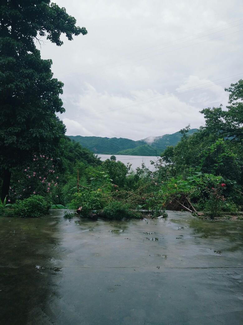 夏日雨季
by jincheon