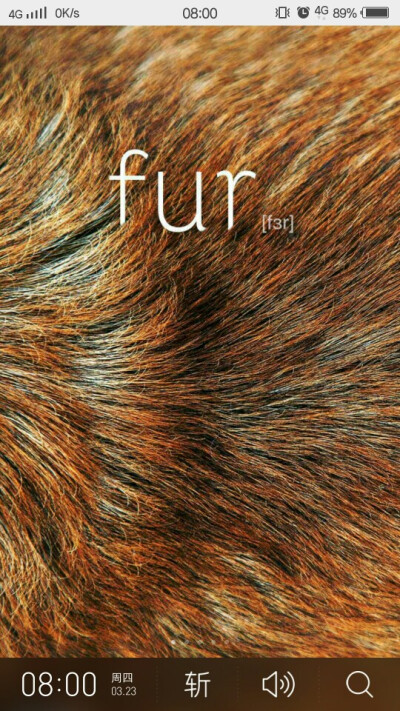 fur