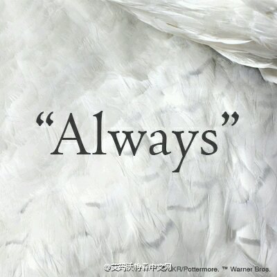『always.』
