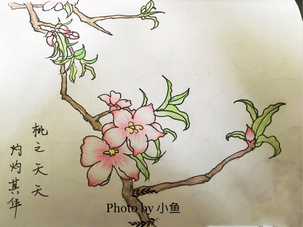 桃夭 桃花儿童画