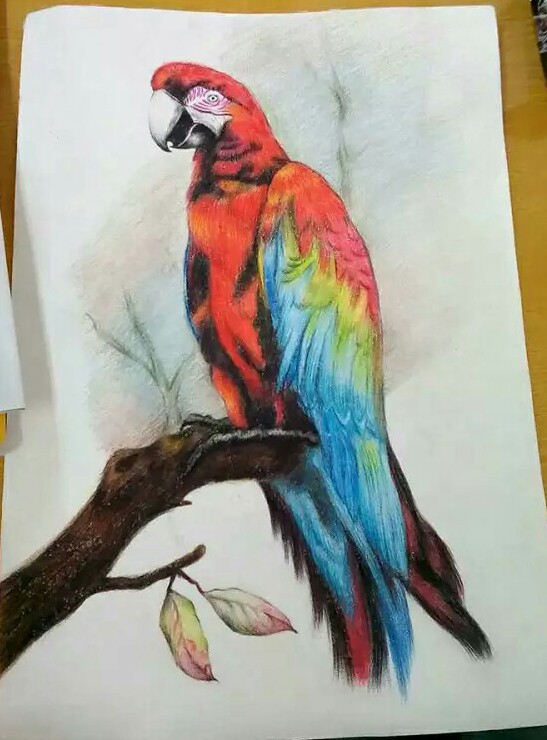 彩铅叠色练习
