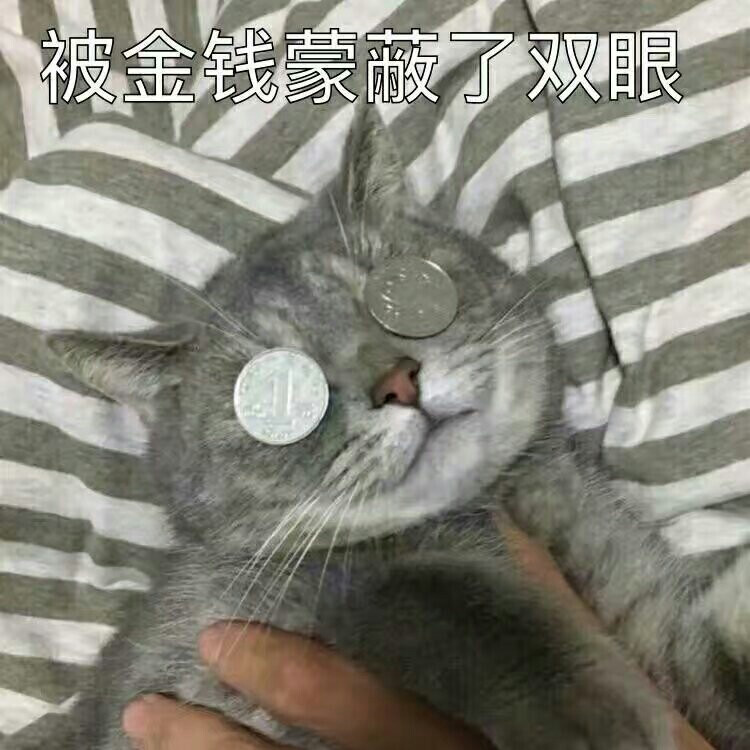 表情包萌贱