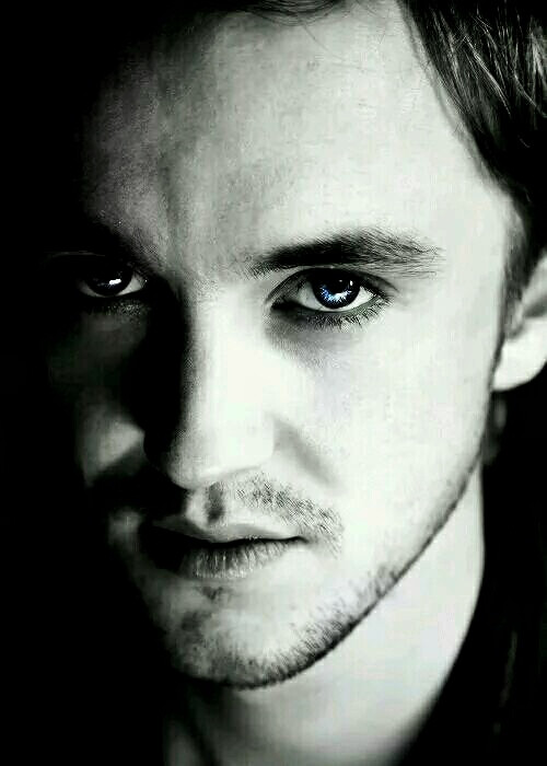 tom felton