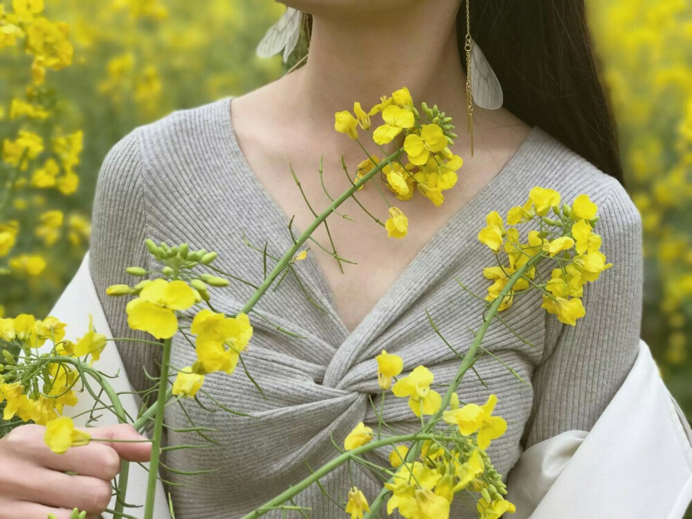 油菜花地