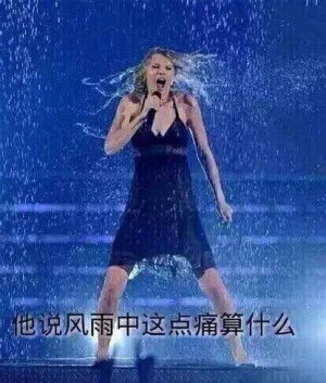 表情包这种东西啊