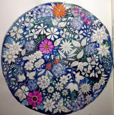 蓝印花布，印上我喜欢的蒲公英，小白花不涂也觉得蛮可爱的~（也许只是懒了[偷笑]。。。）水彩涂着好爽啊，完全不知道下一刻调出什么颜色来[坏笑]