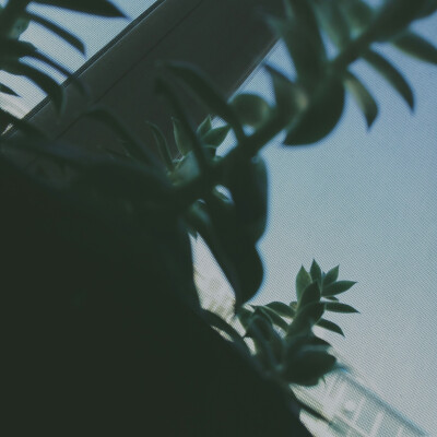 祭川木｜生活摄影集
摄/ 后期：祭川木