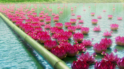 《少年锦衣卫》