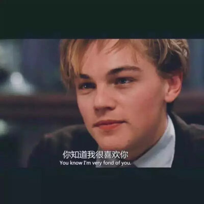 Leonardo DiCaprio 小李子