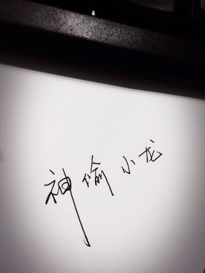 我的神偷小龙~