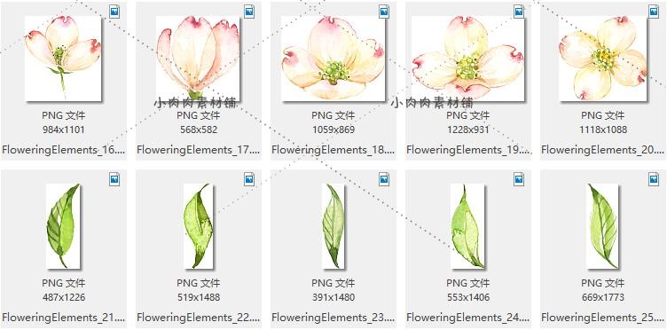 浪漫春天桃花粉红色花朵树叶唯美花框花环PNG设计素材png162