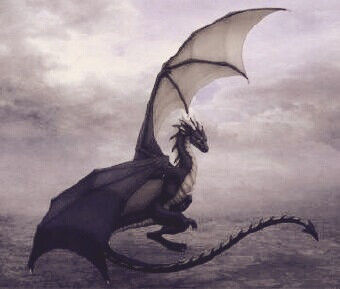 摘自网络，侵删——末影龙