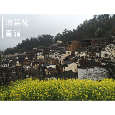 篁岭