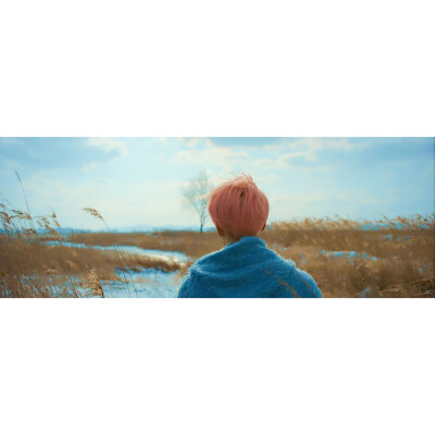 BTS you never walk alone SPRING DAY 白边 Jimi