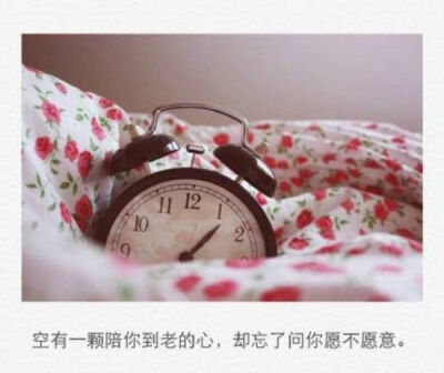 空有一颗陪你到老的心
却忘了问你愿不愿意 文字控
by Krystal Soo Jung的小迷妹
…