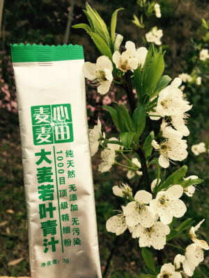 青汁桃花