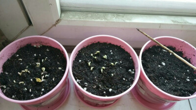 (๑•̀ㅁ•́๑)✧