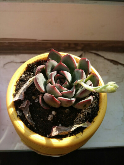 (๑•̀ㅁ•́๑)✧