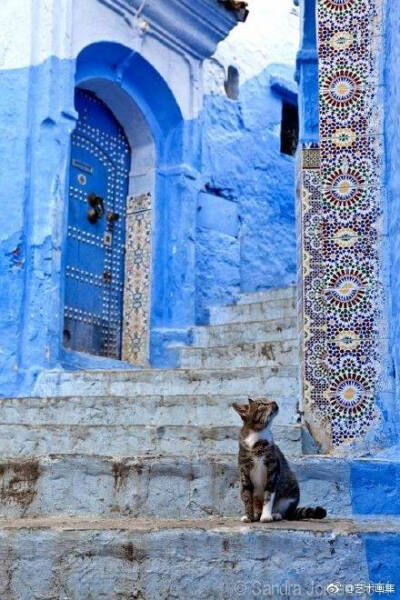 摩洛哥蓝色小镇