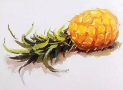 菠萝临摹
