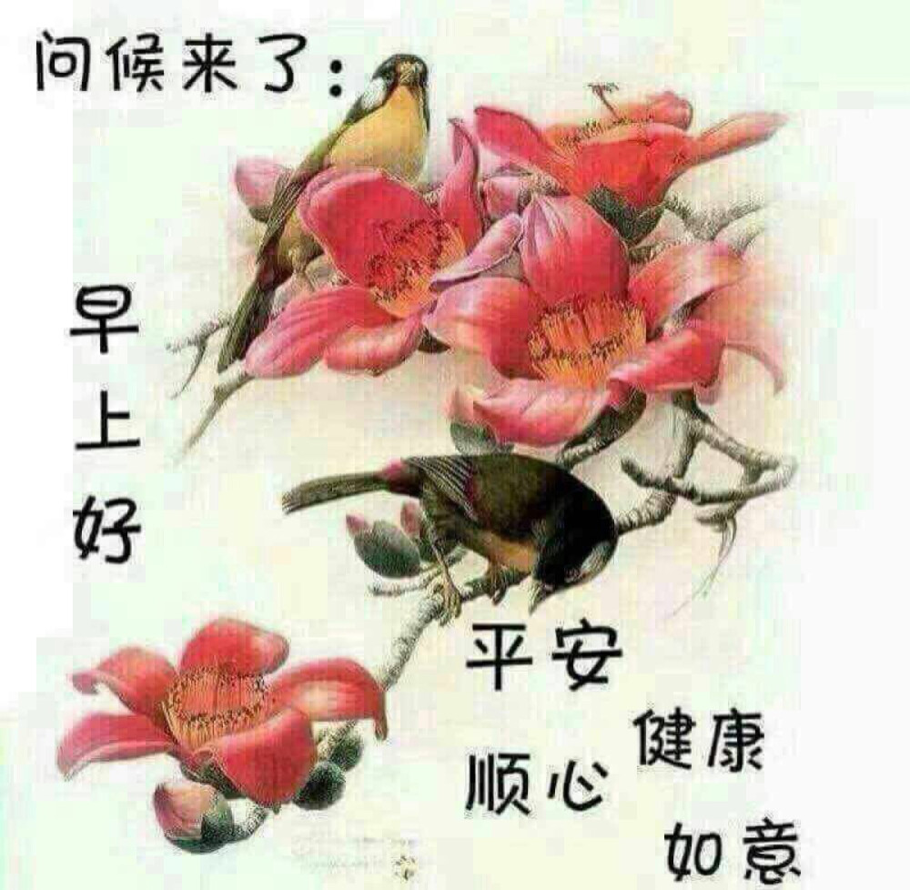 早上好