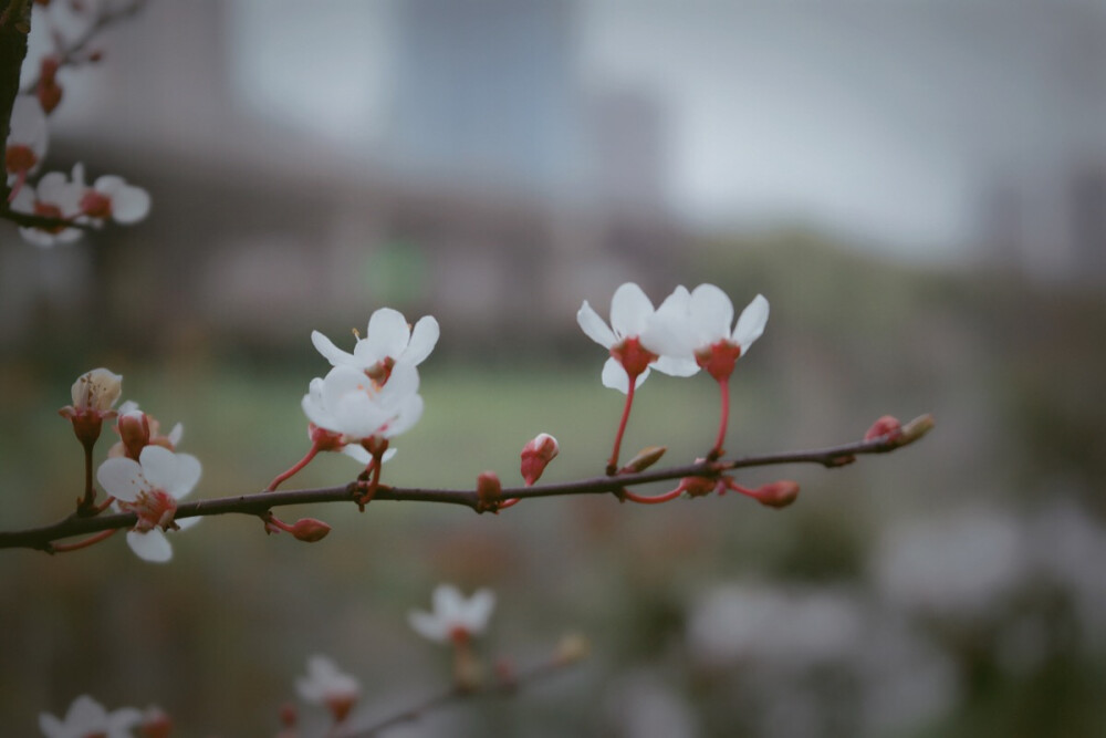 生活的点点滴滴